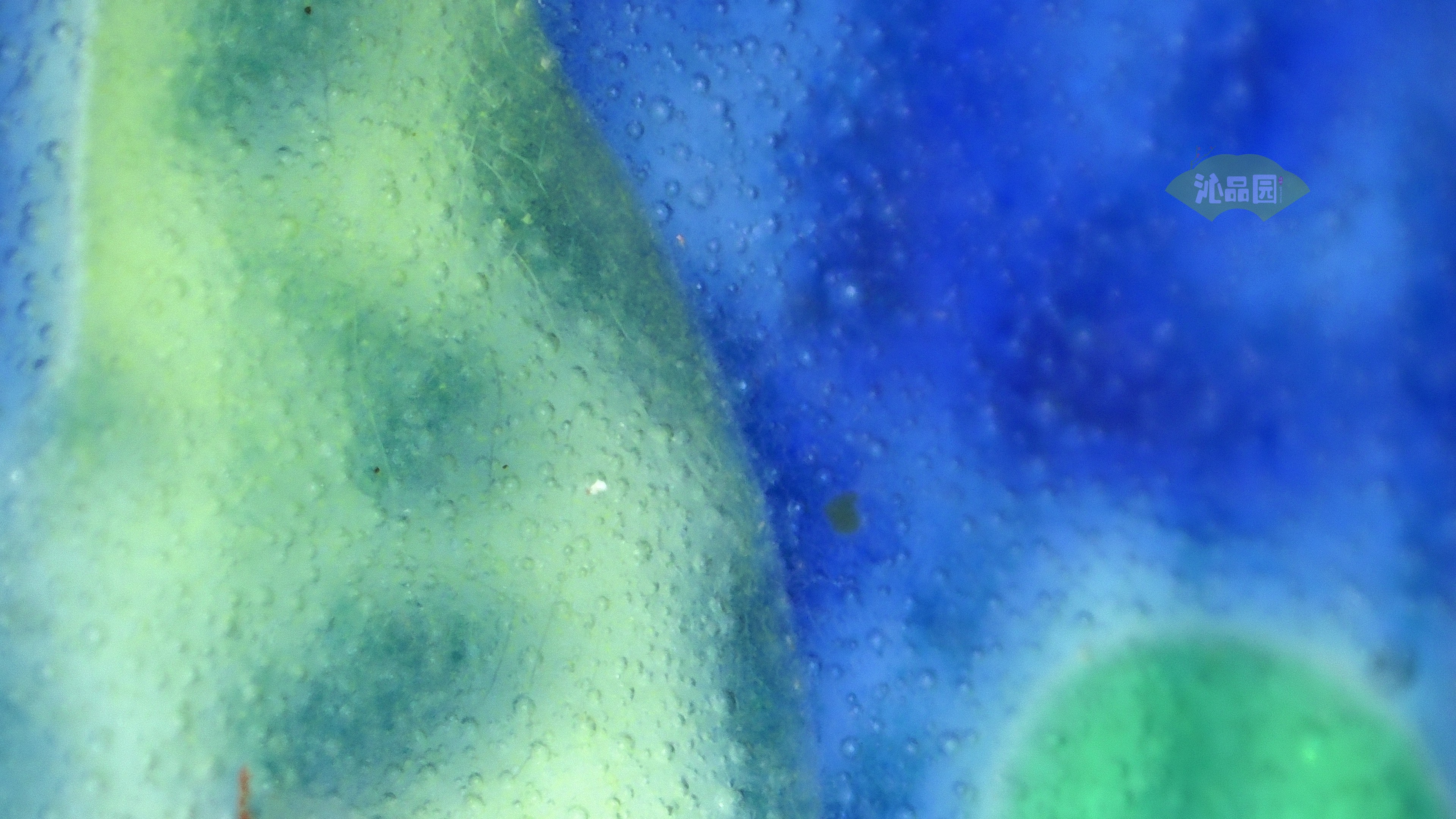 0900.jpg