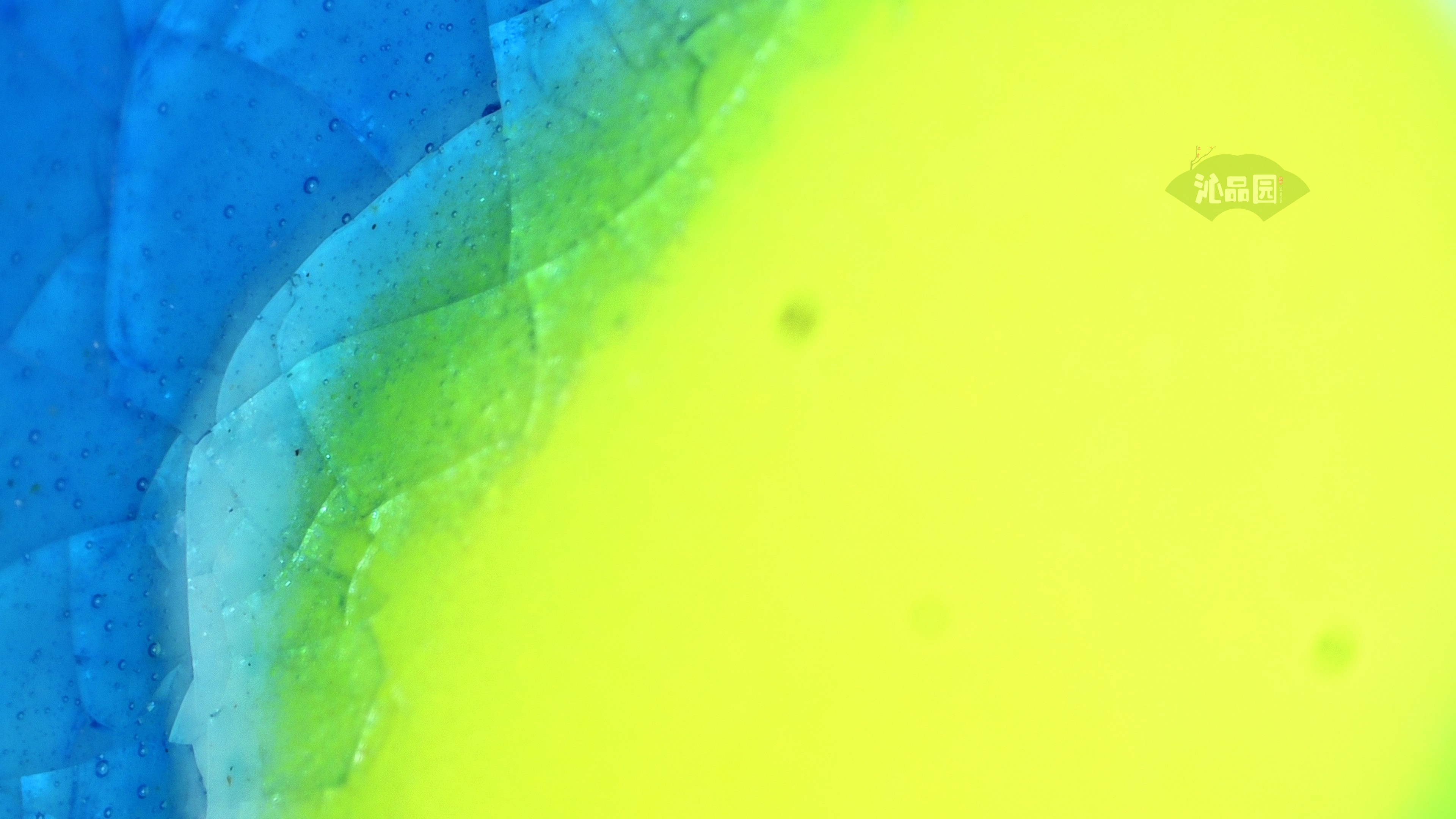 0673.jpg