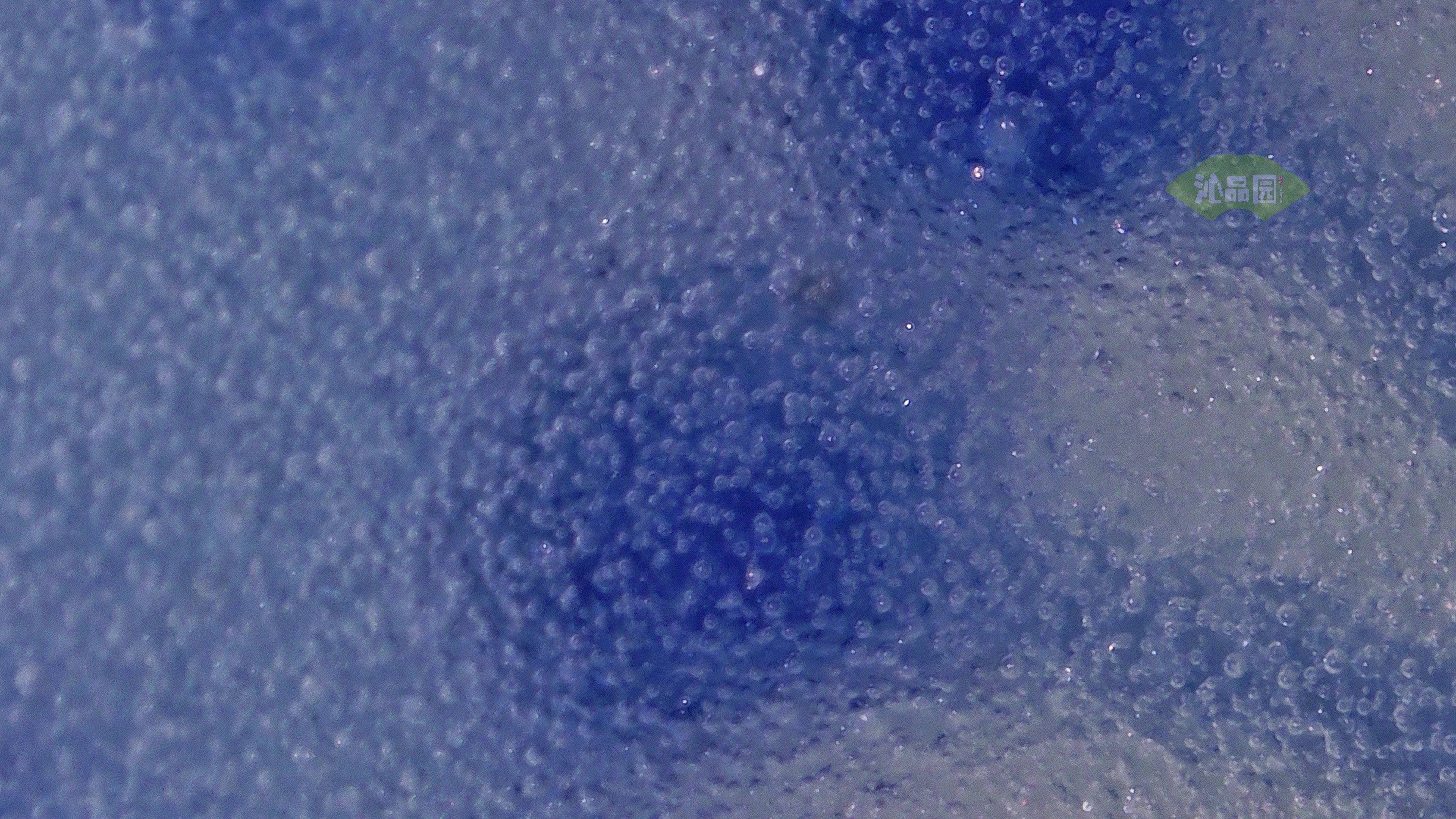0848.jpg