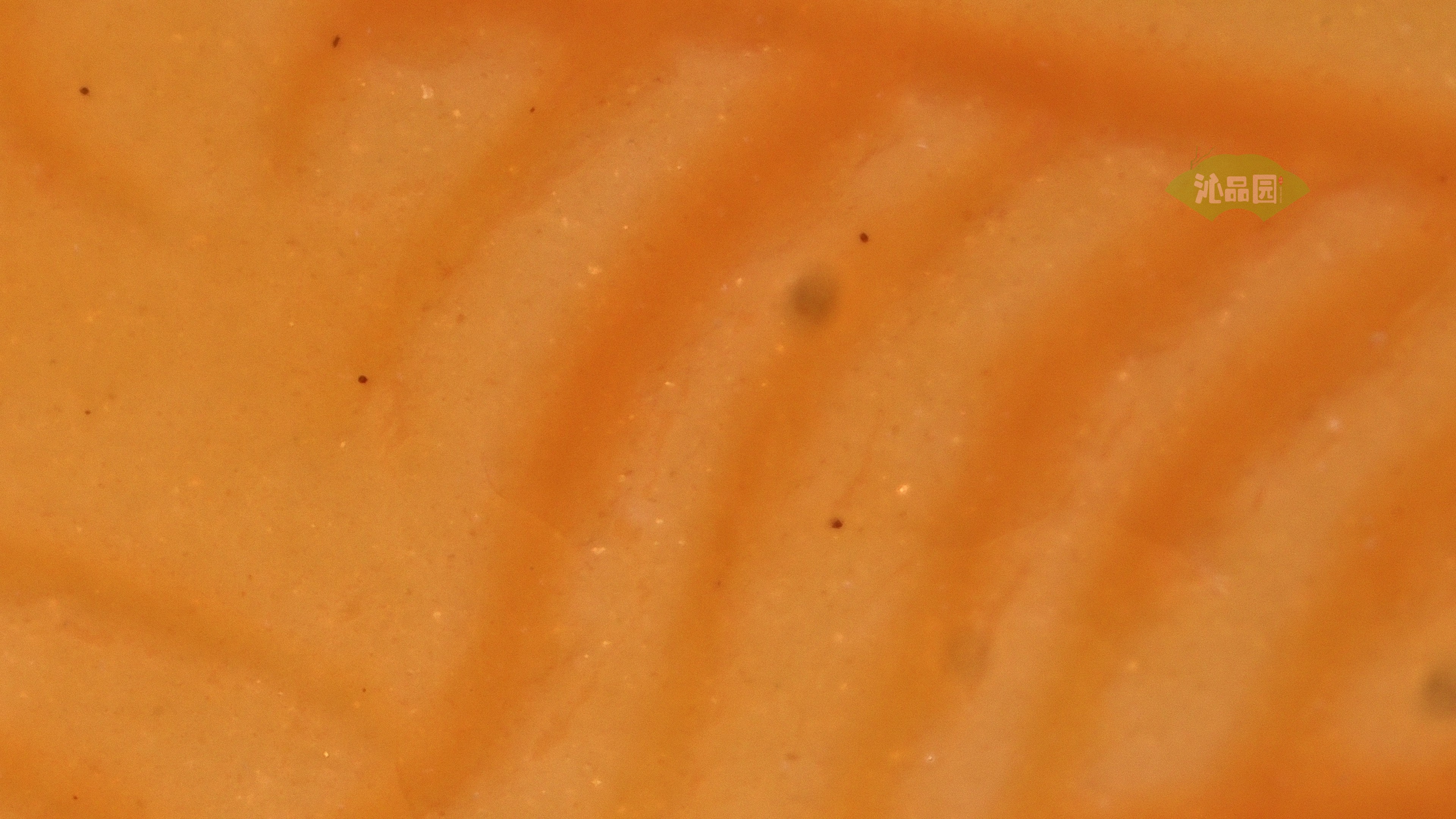 0133.jpg