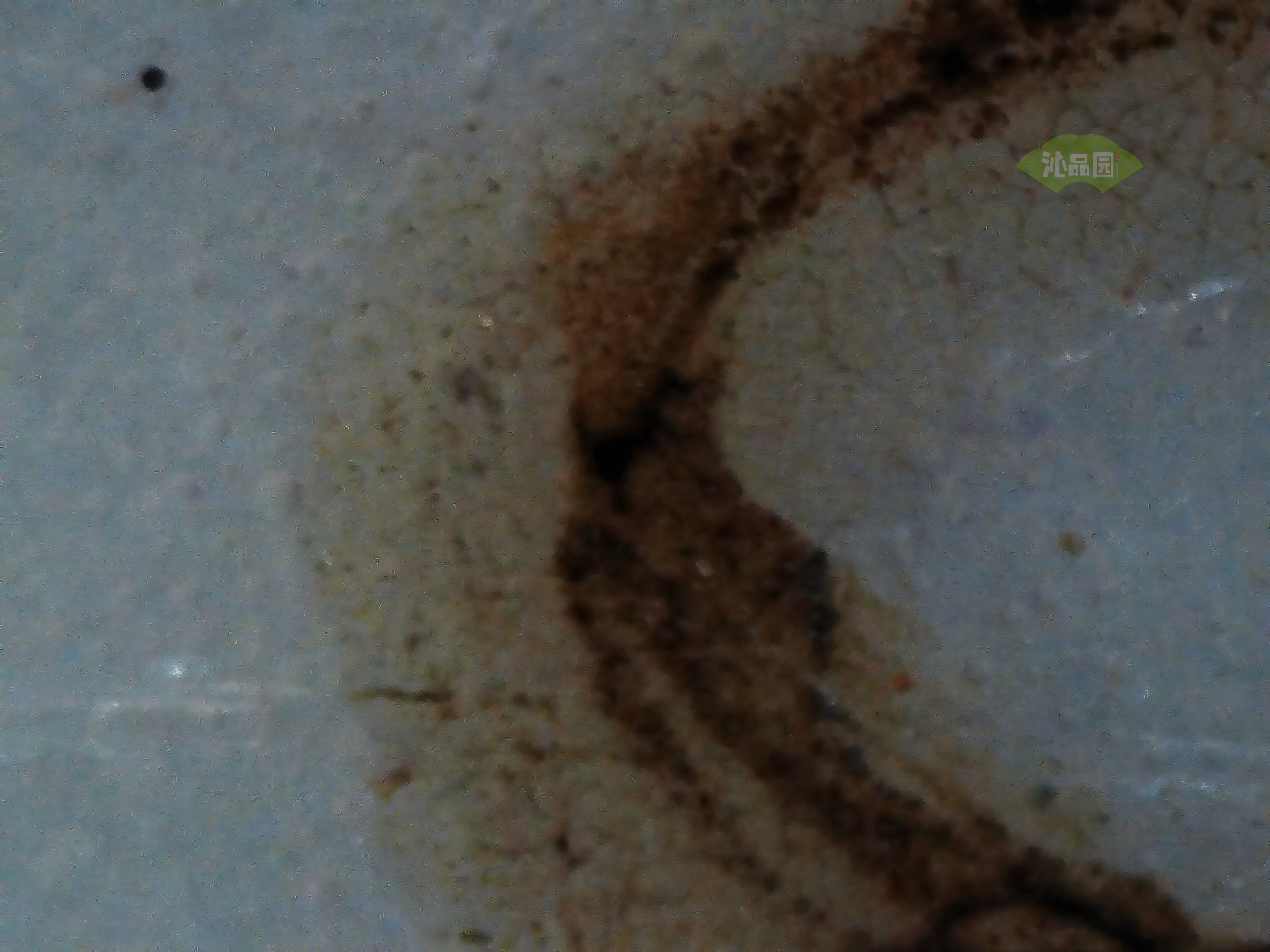 CHD00475.JPG