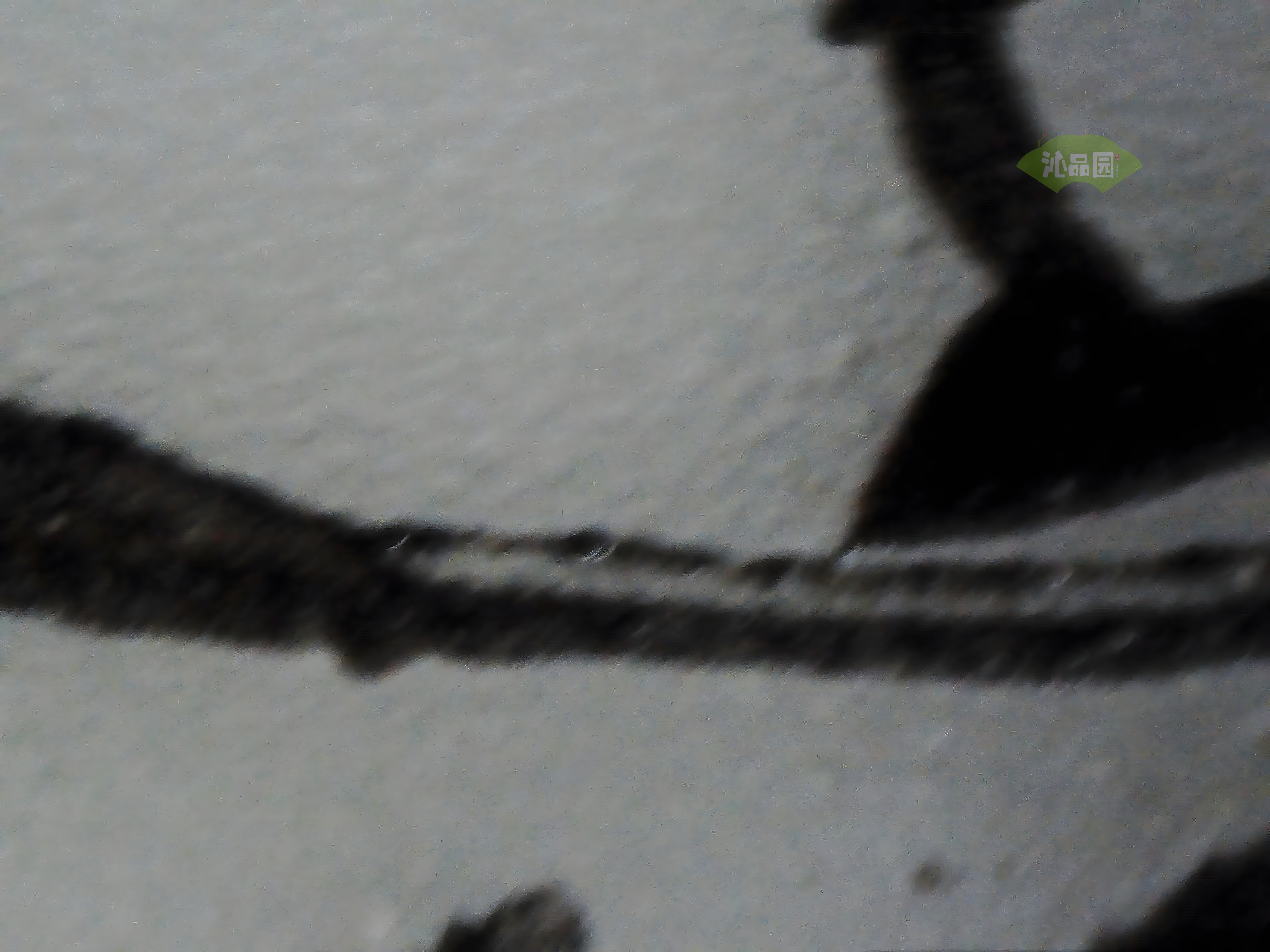CHD00684.JPG