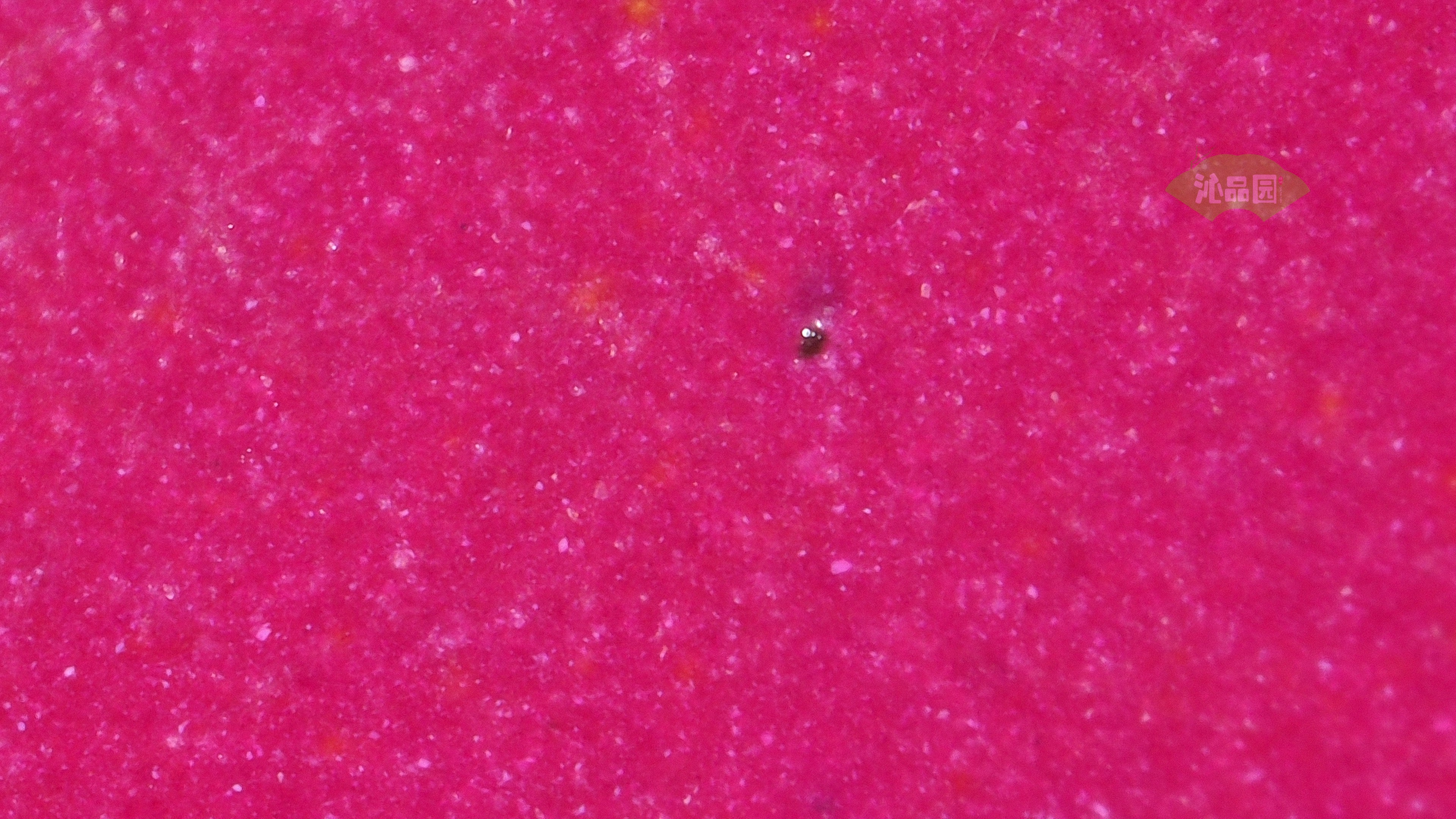 1058.jpg