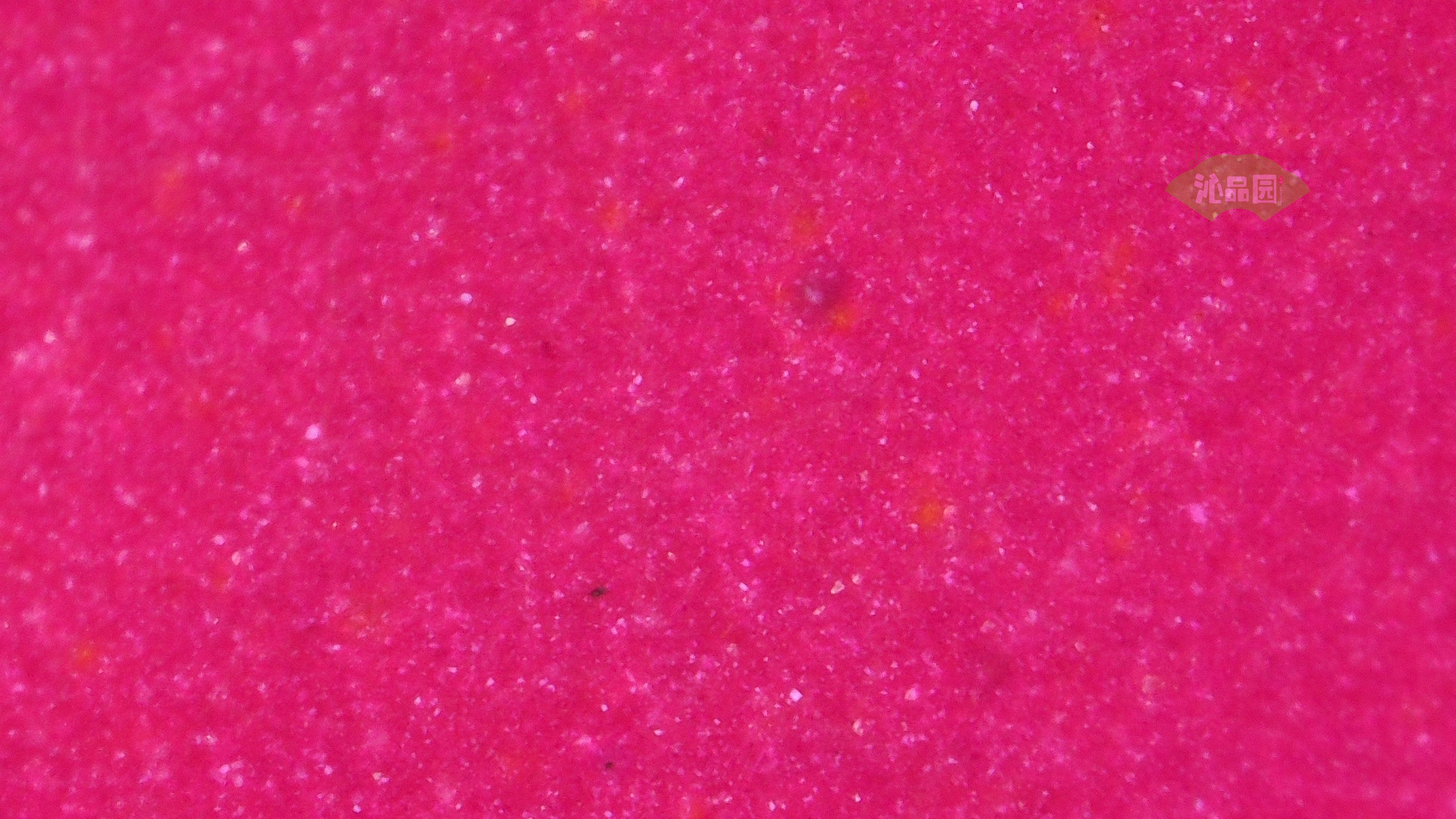 1062.jpg
