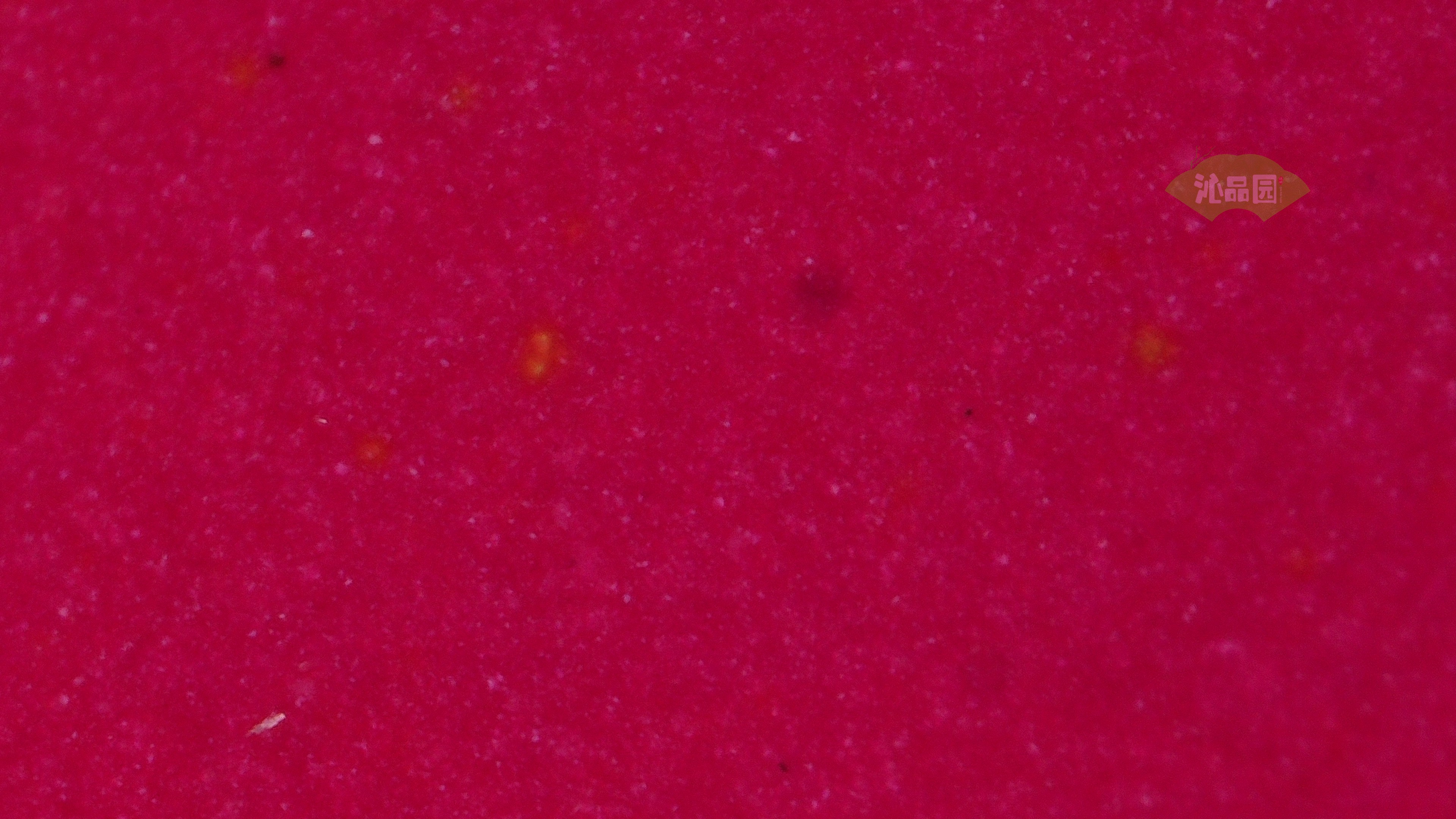 1065.jpg