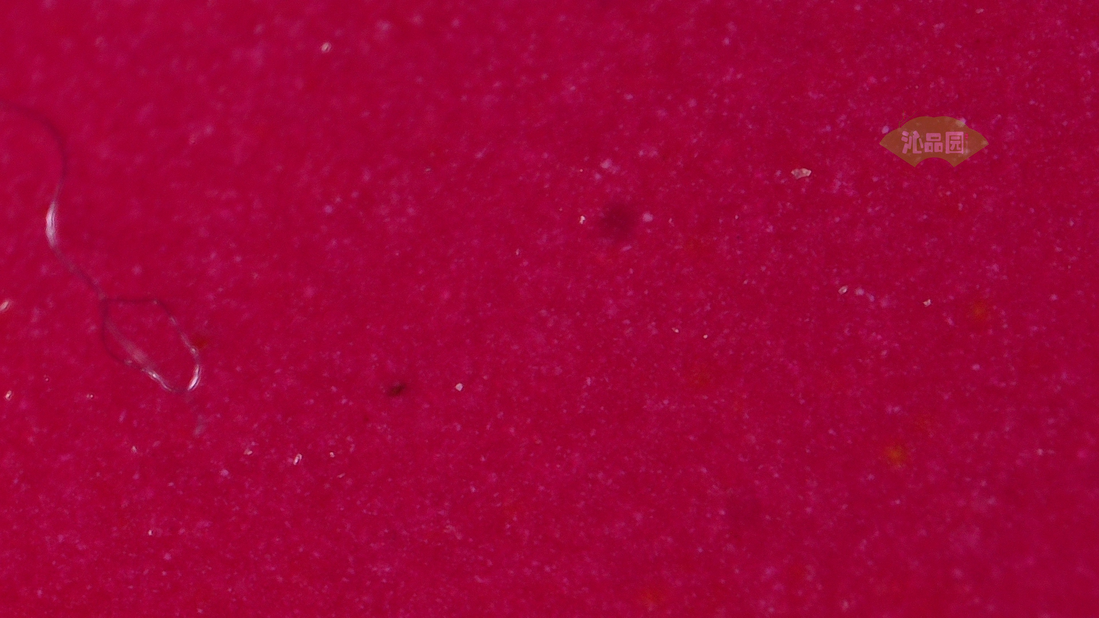 1067.jpg
