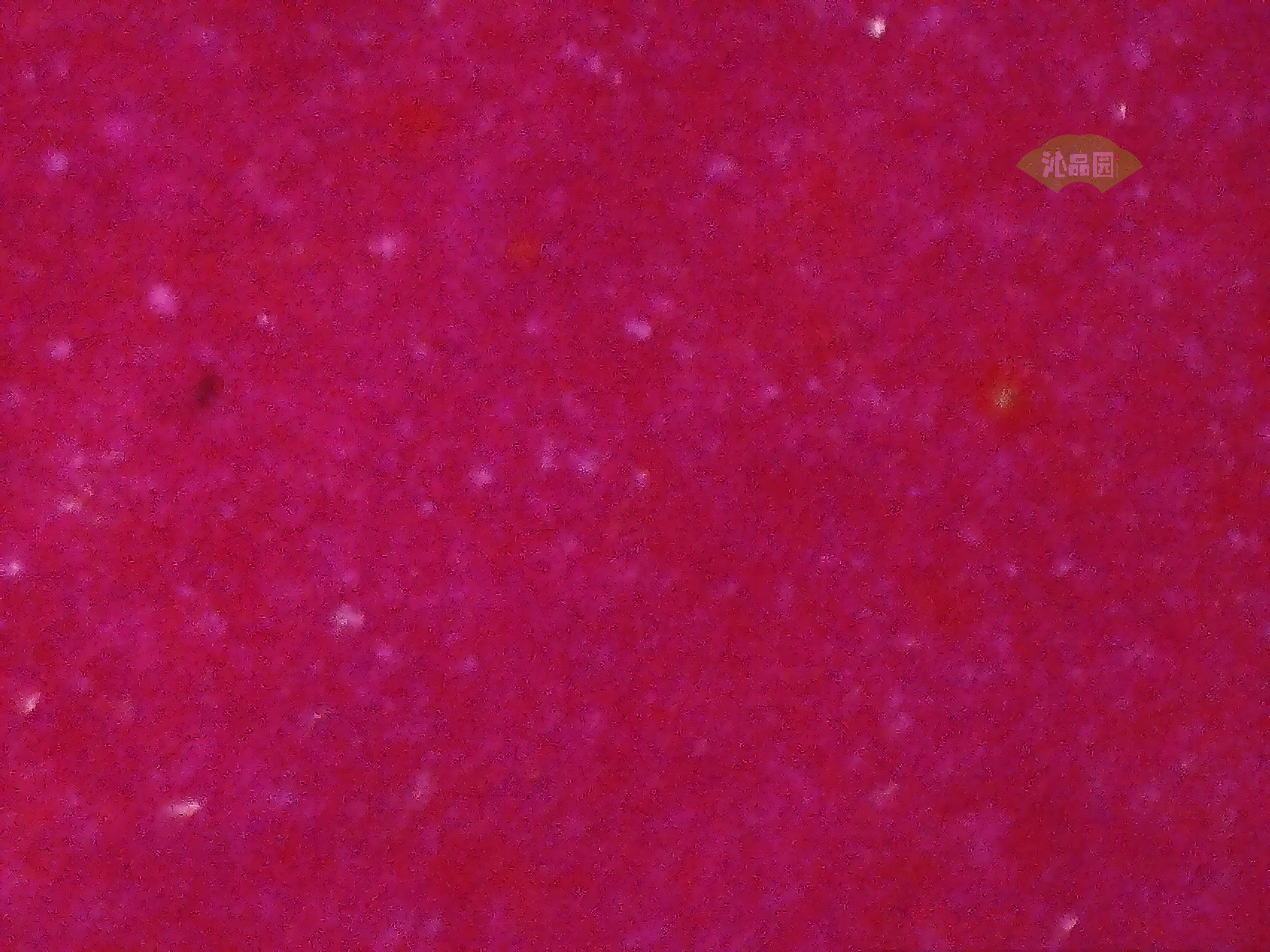 CHD00016.JPG