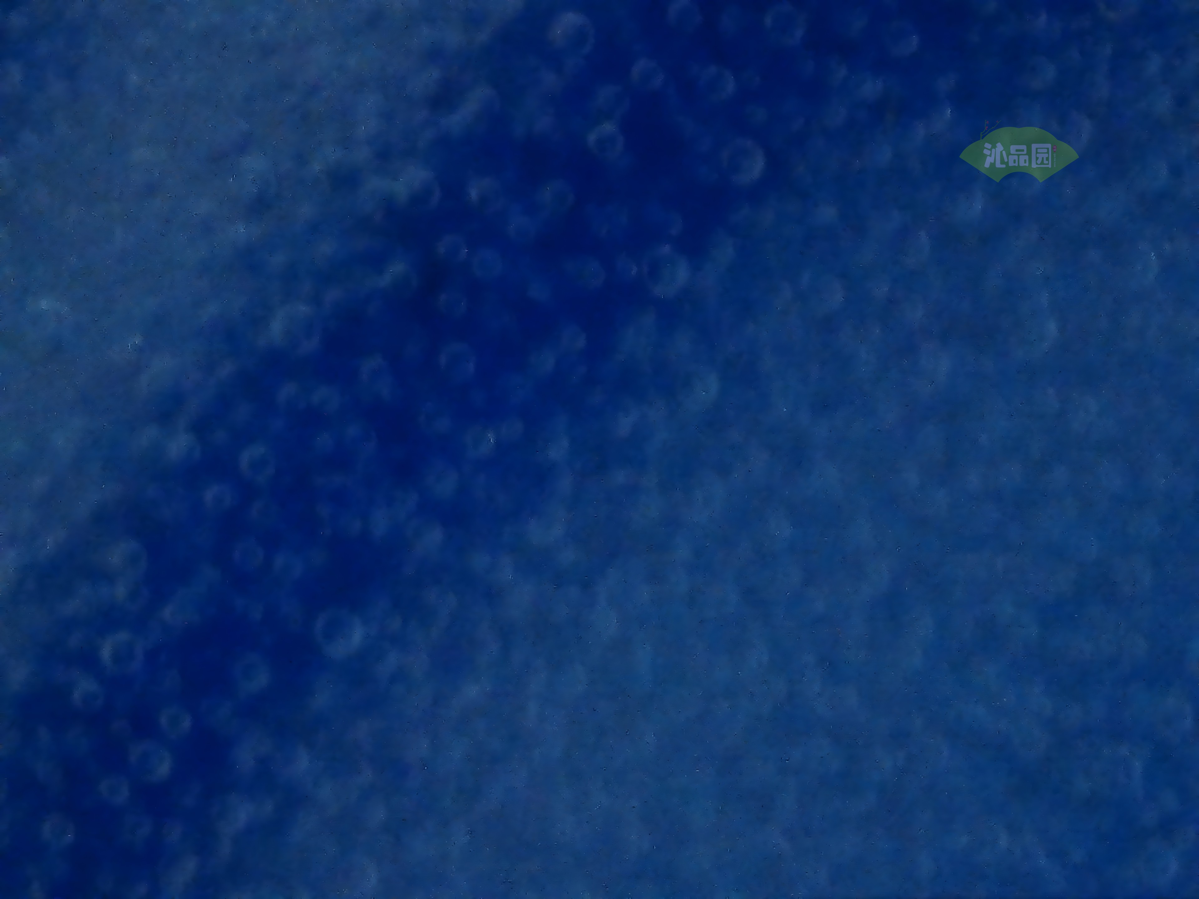 CHD00490.JPG