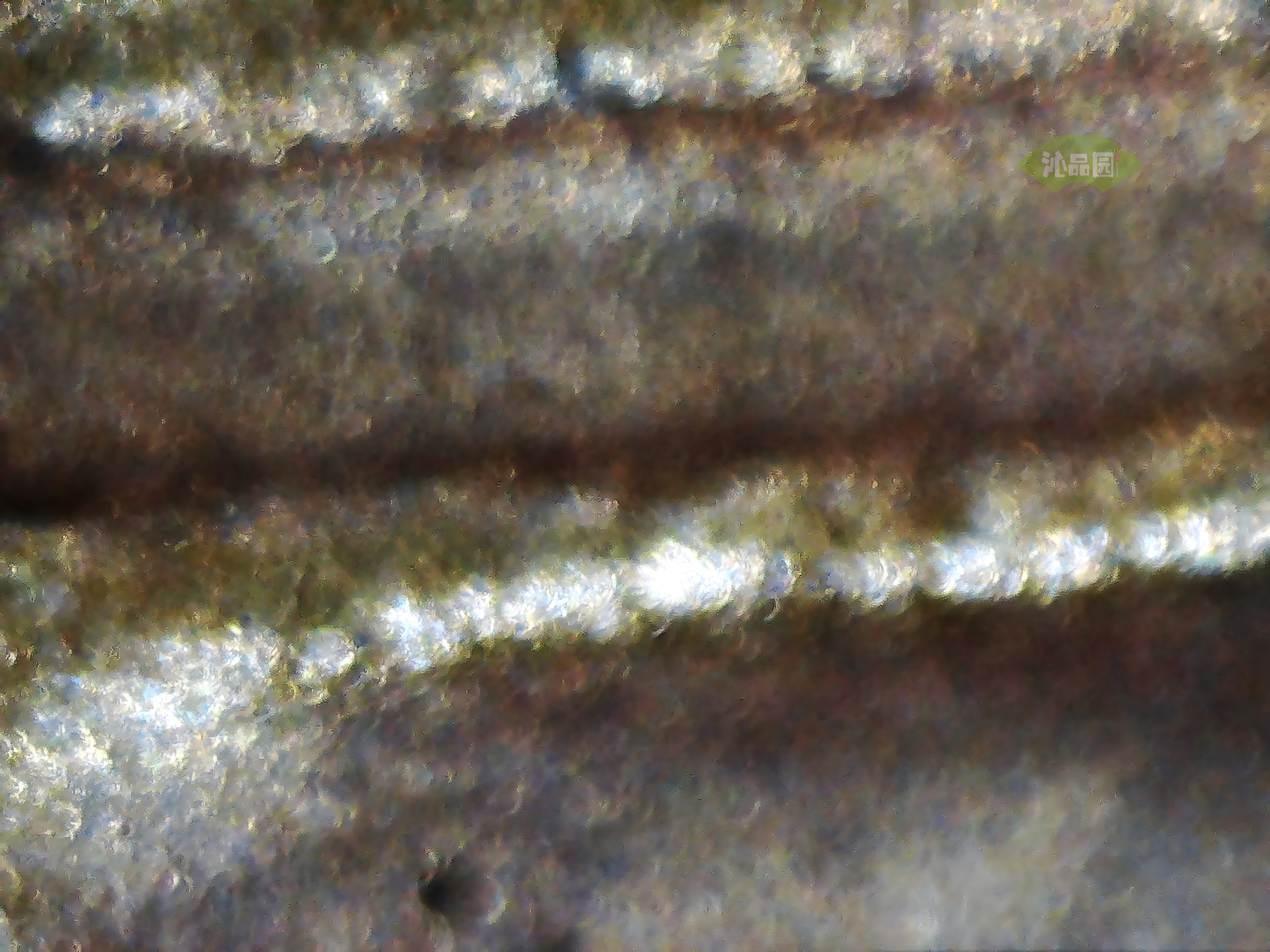 CHD00911.JPG