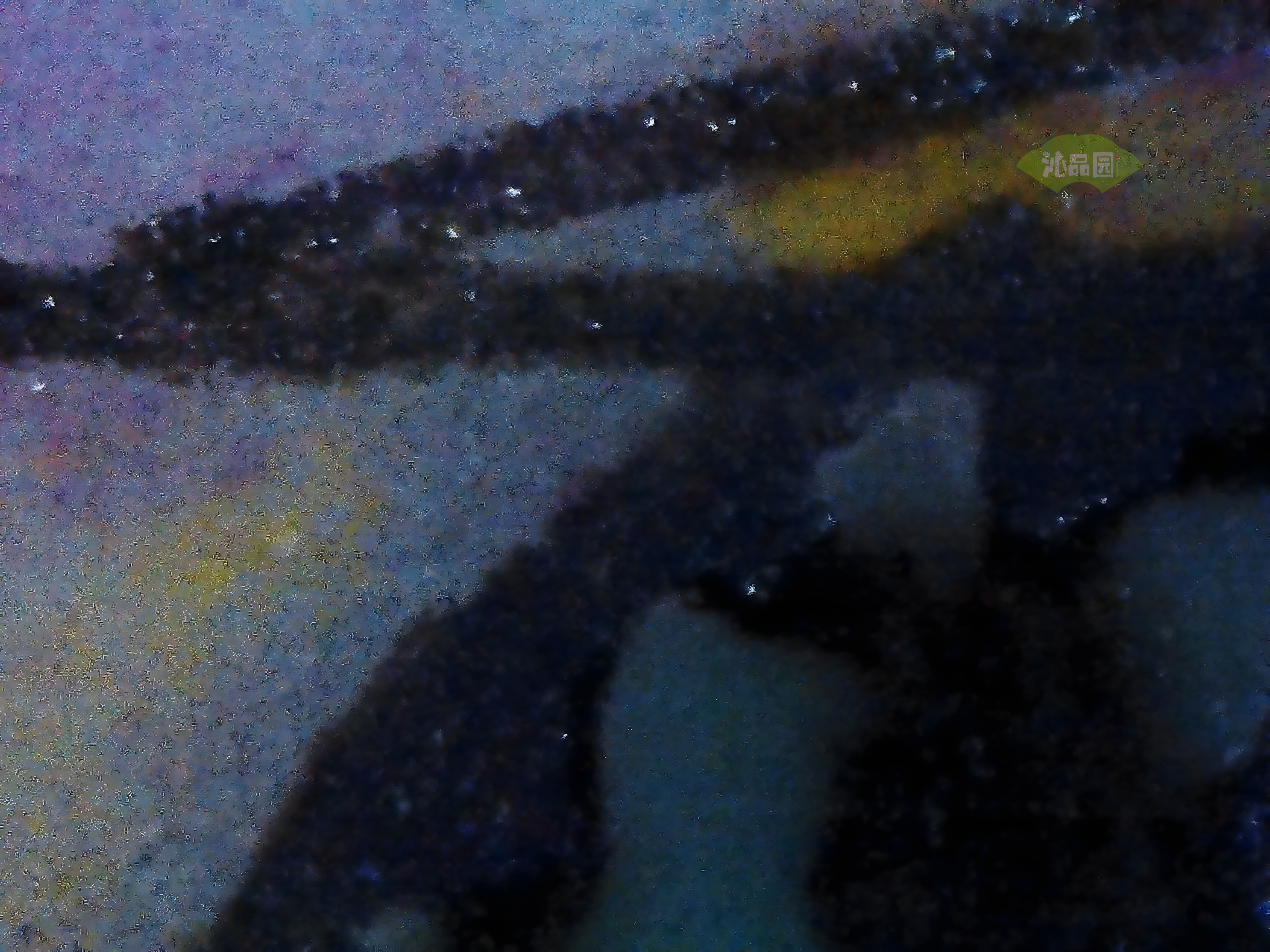 CHD00356.JPG