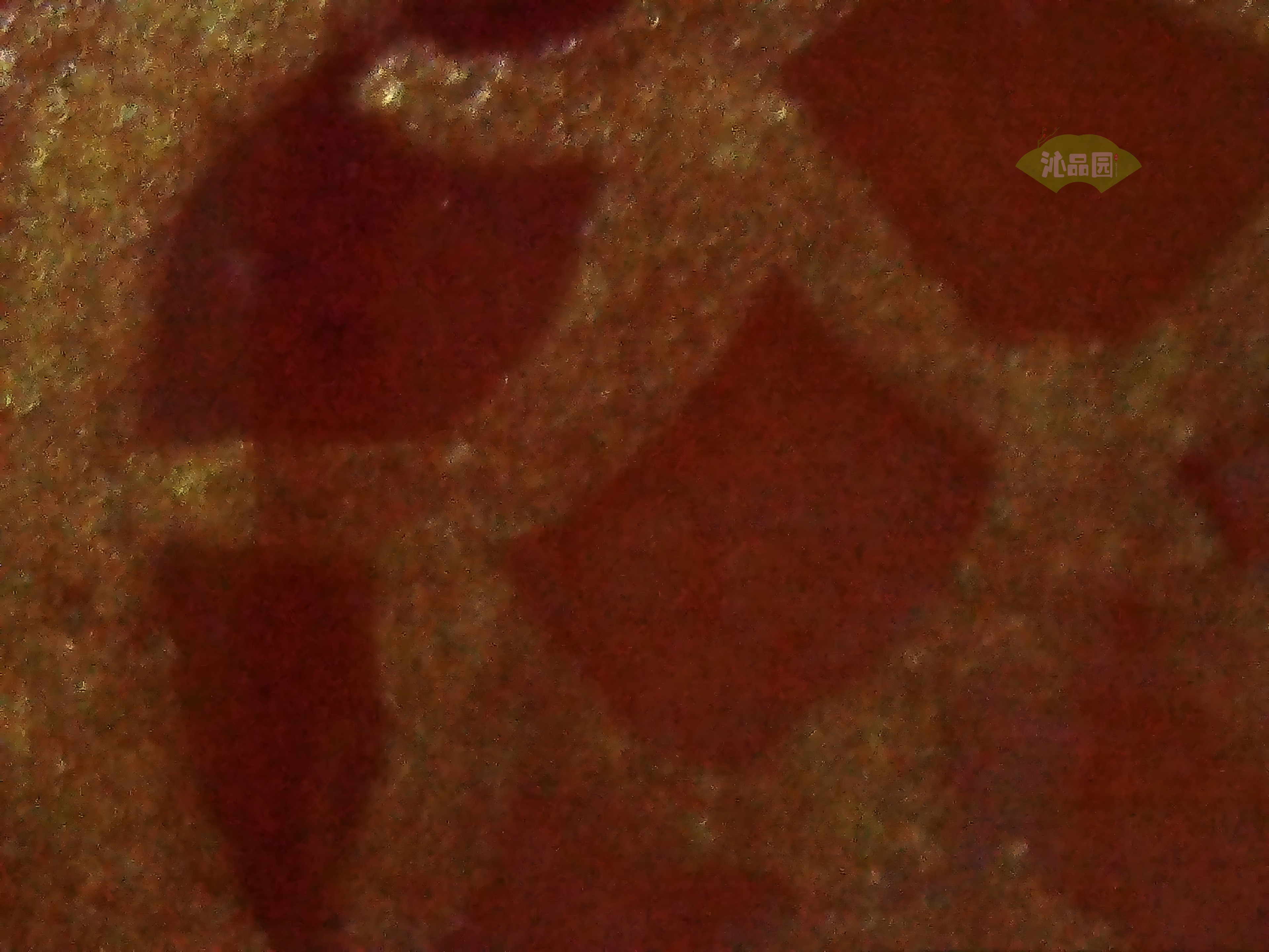 CHD00357.JPG