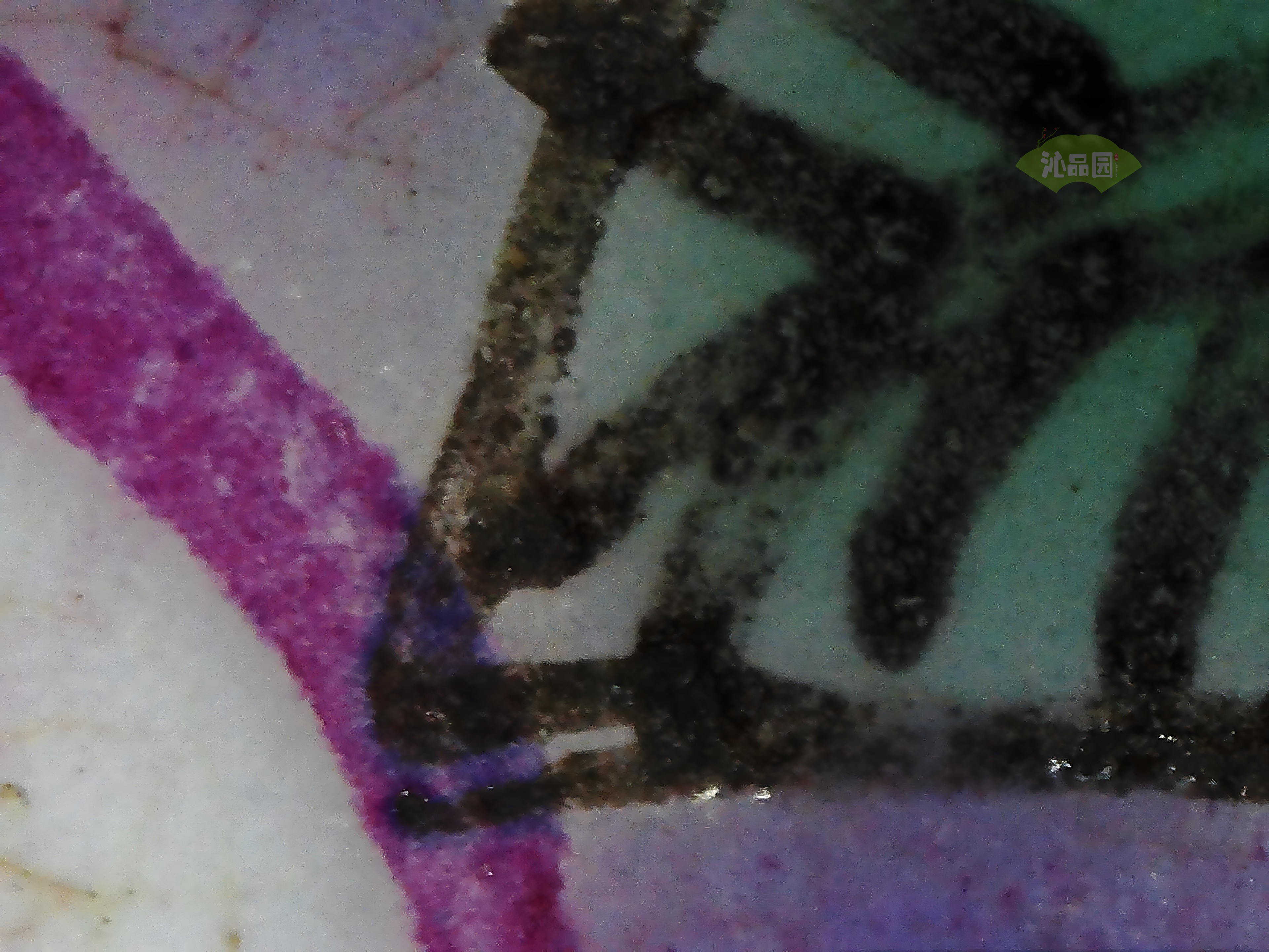 CHD00220.JPG