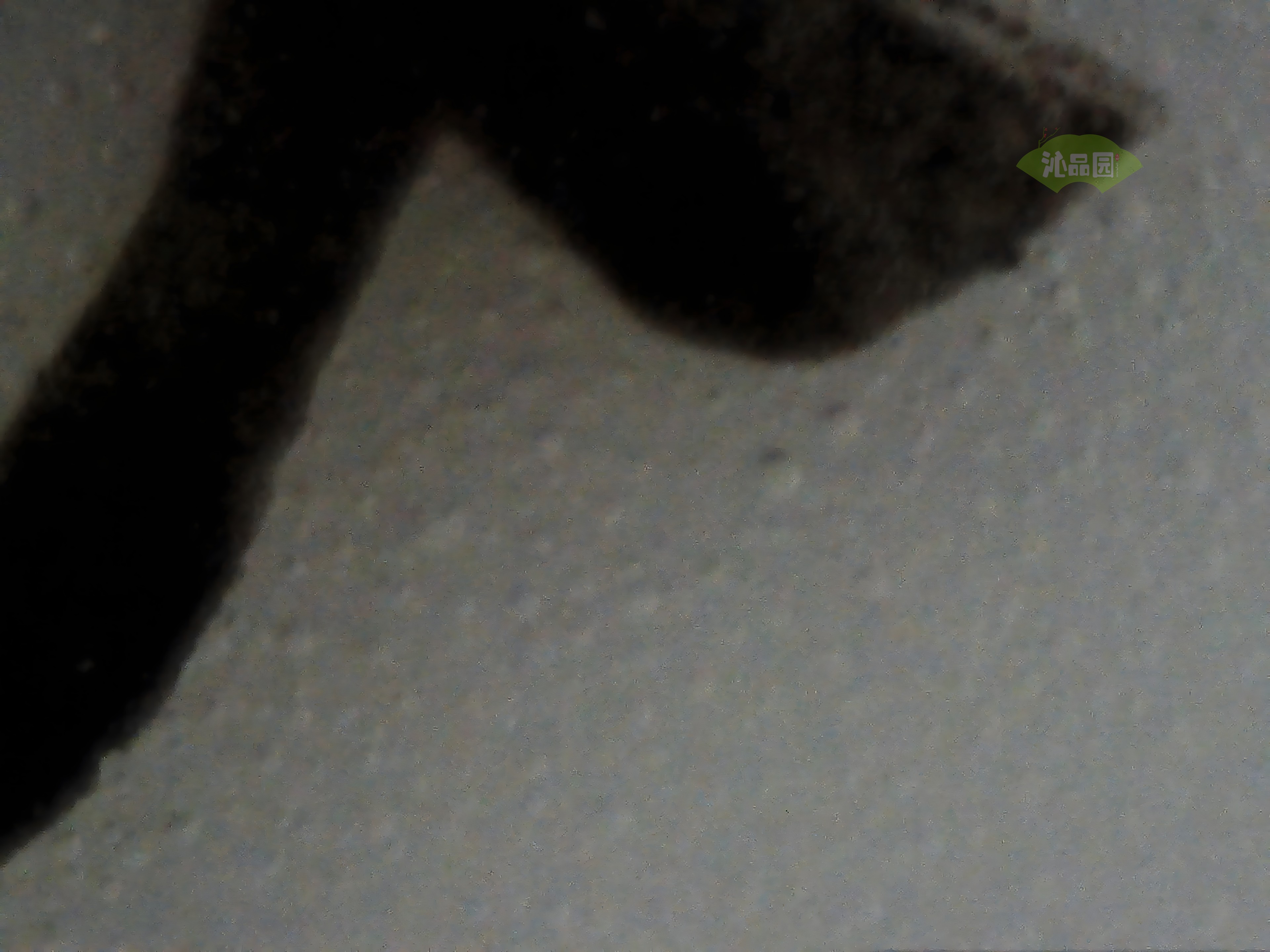 CHD00499.JPG
