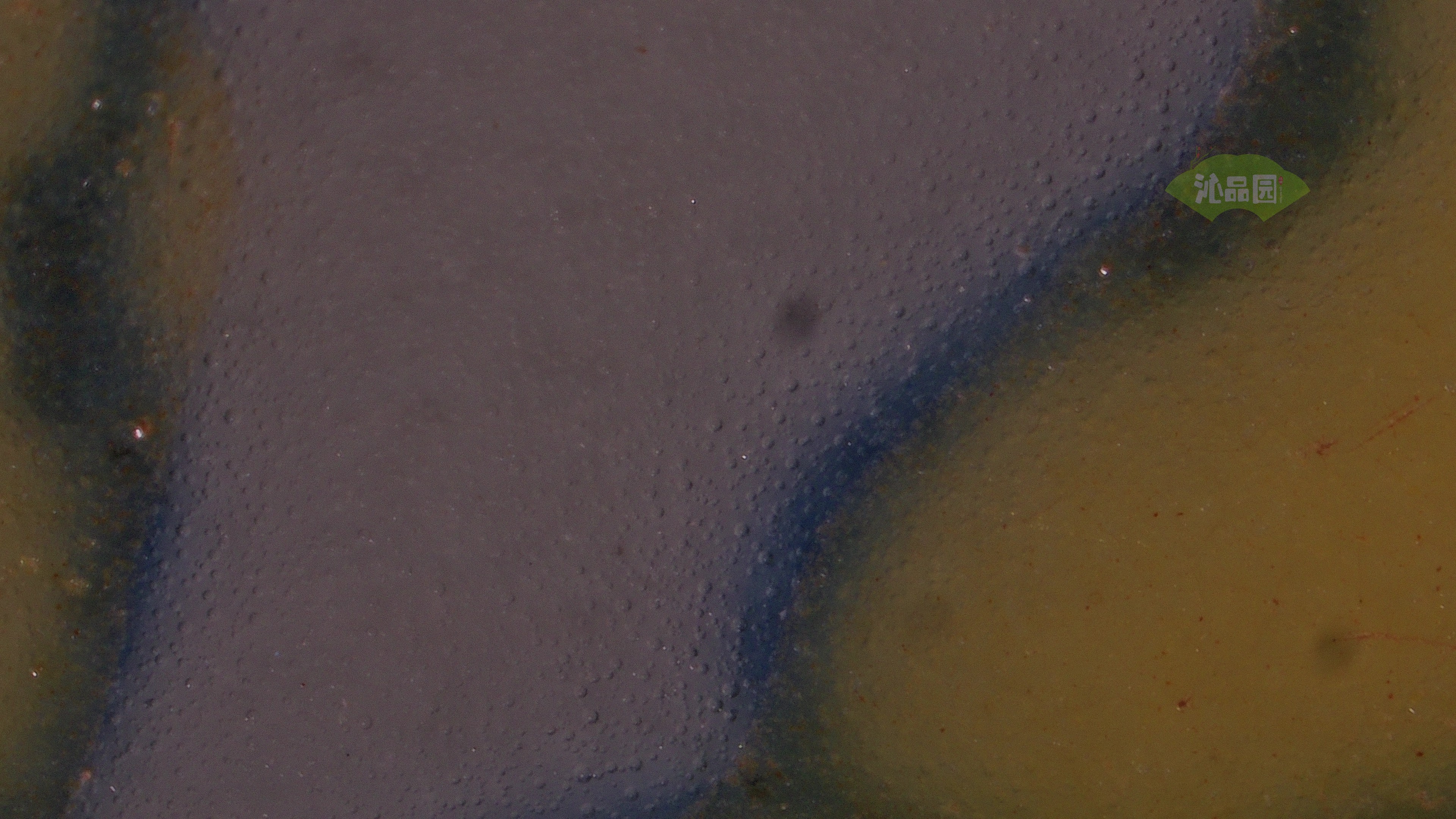 0815.jpg