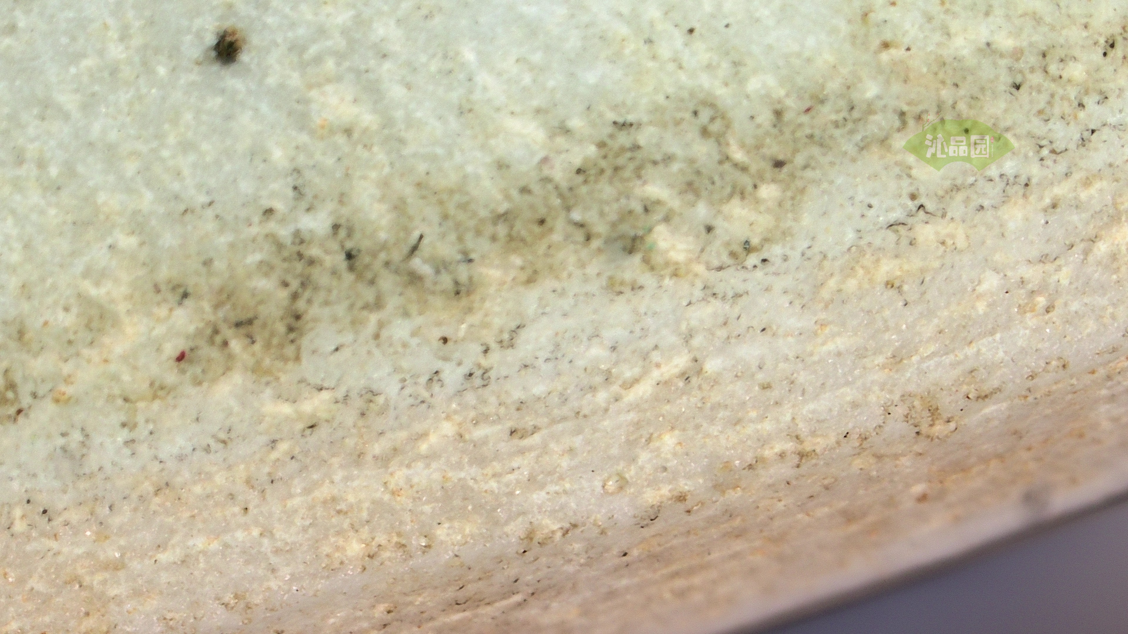 0413.jpg