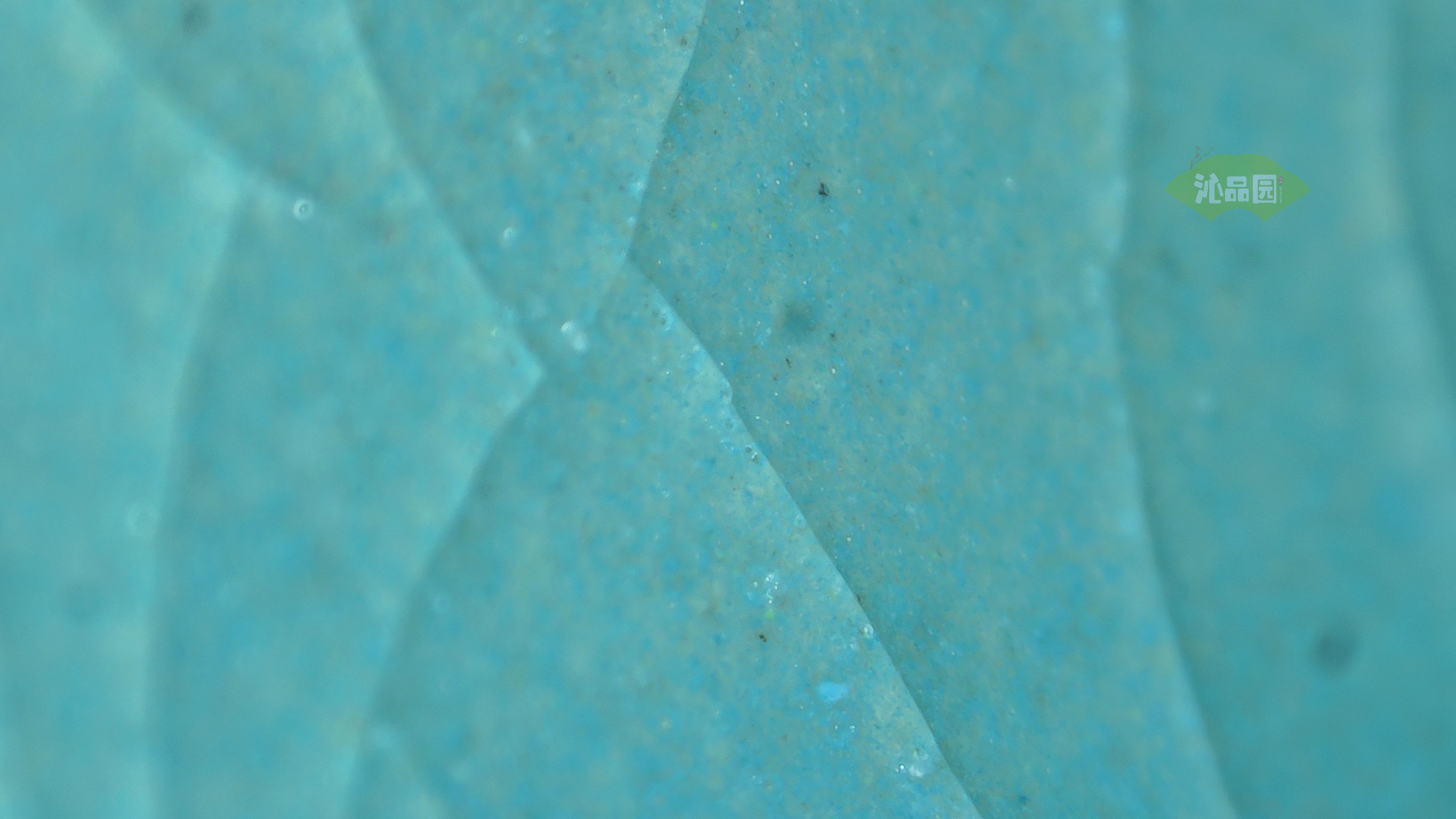 0010.jpg