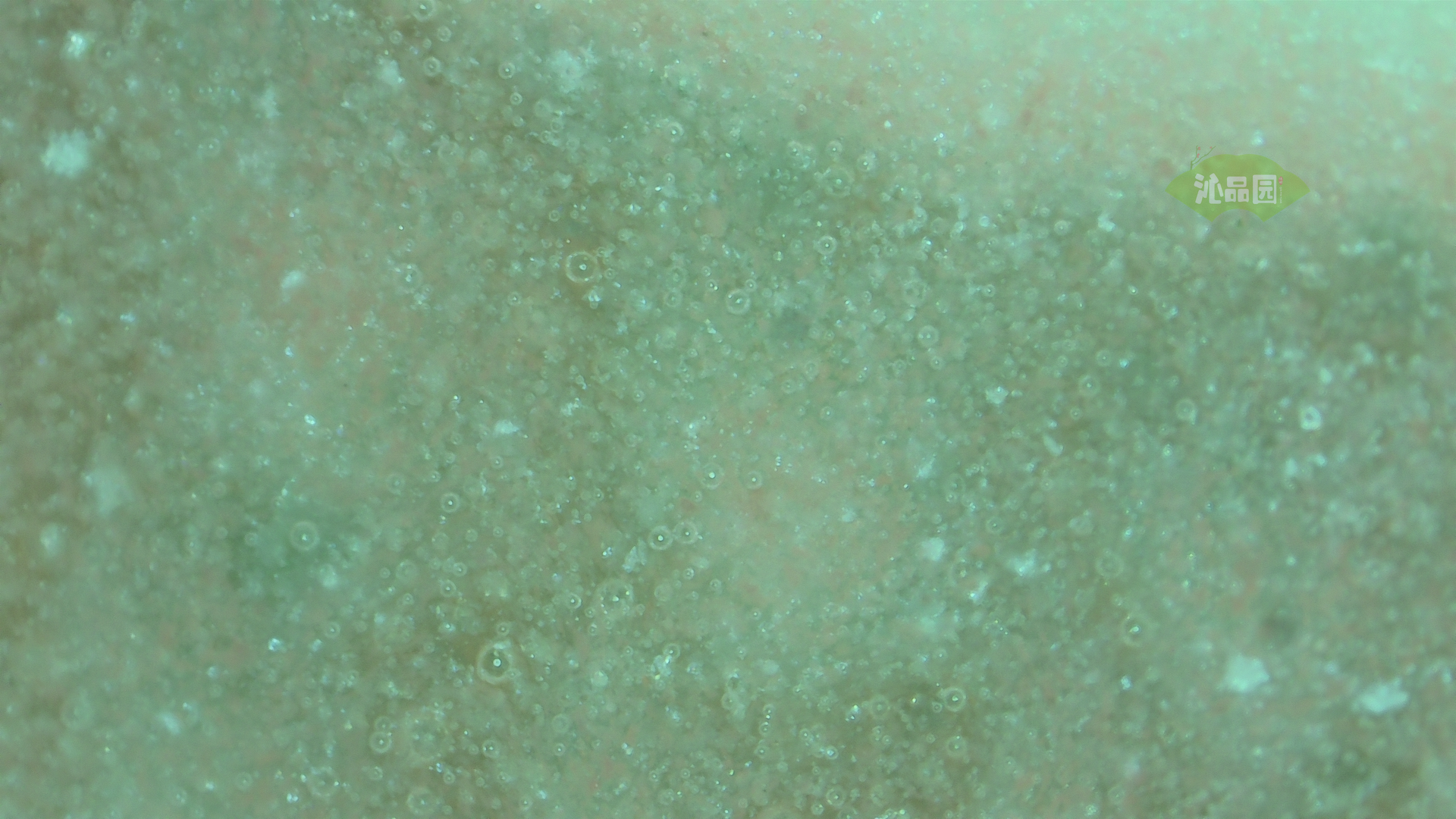 001_a7f14f377800.png