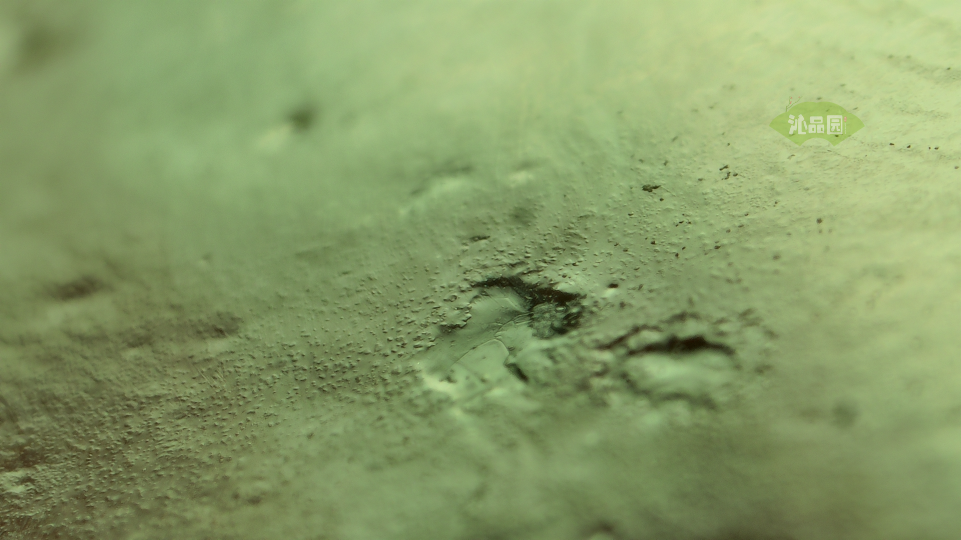 004_6f5647b8b028.png