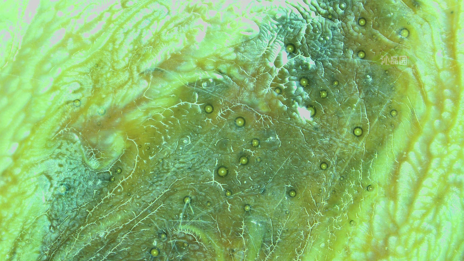 004_82e6bb75c873.png