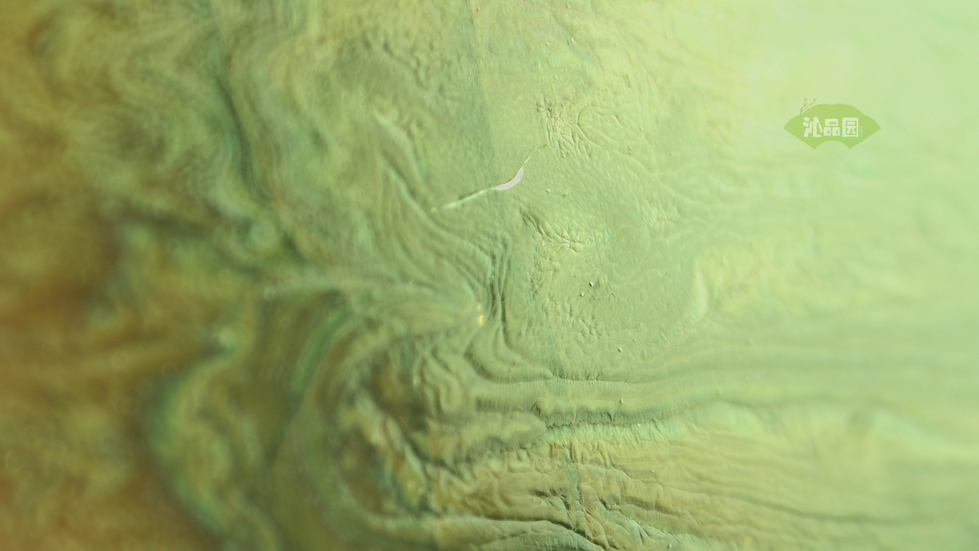 005_645154c4f6a4.png