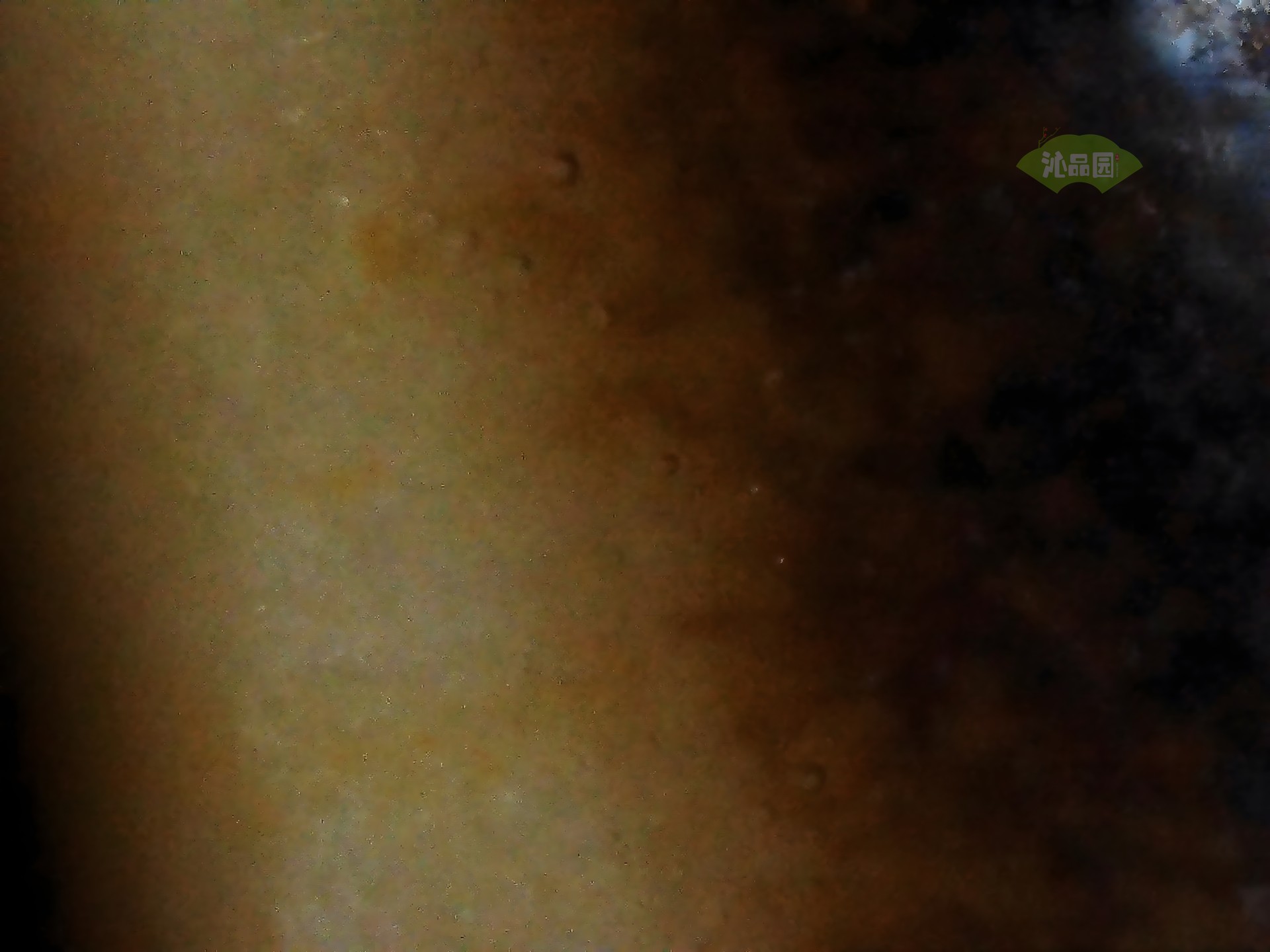002_b5f5af6b368d.jpg