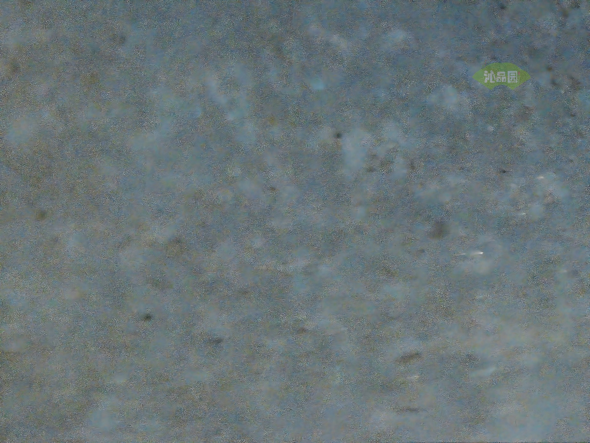 003_8ccd9d50098f.jpg