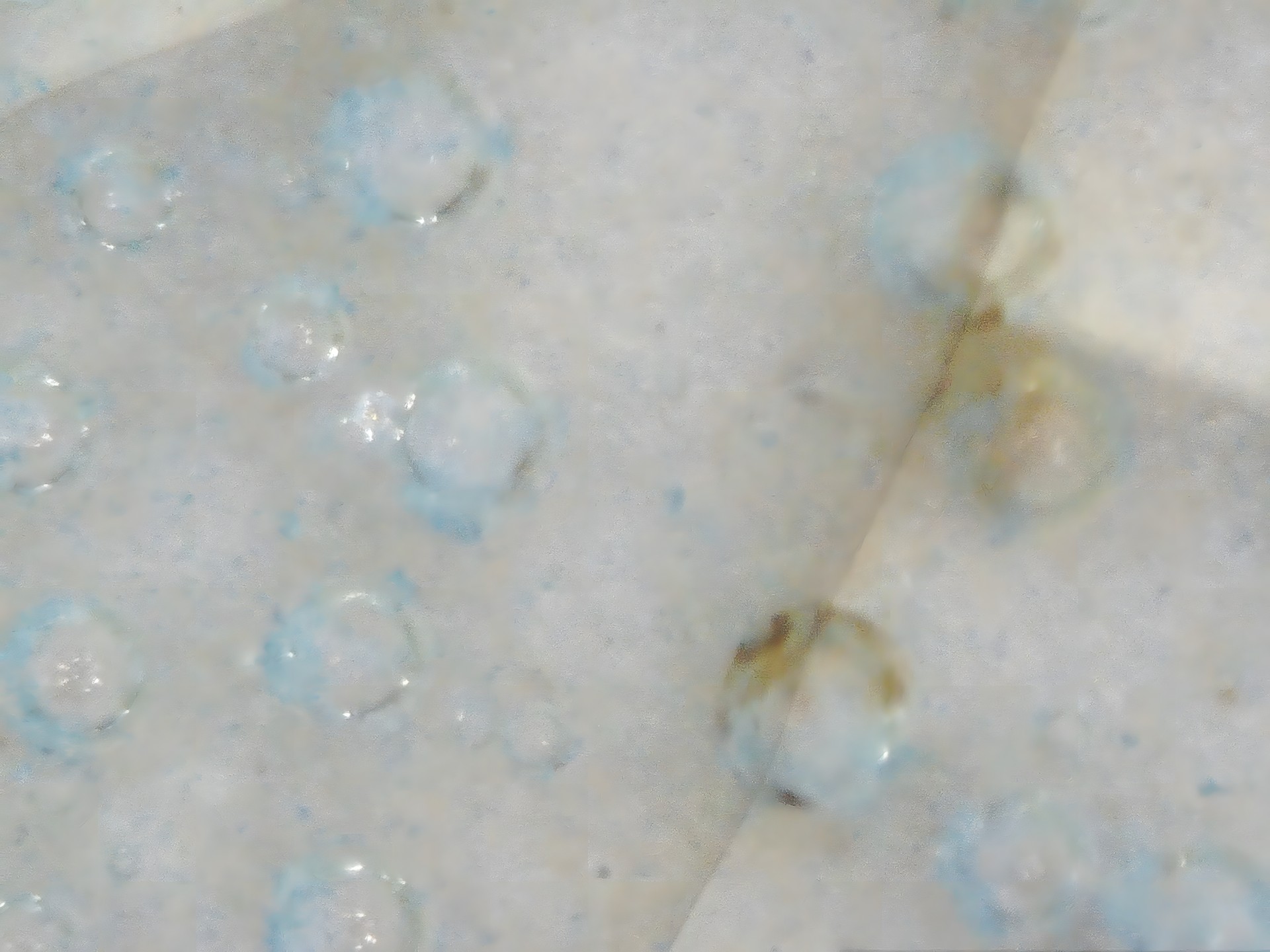 003_79bebcb12919.jpg