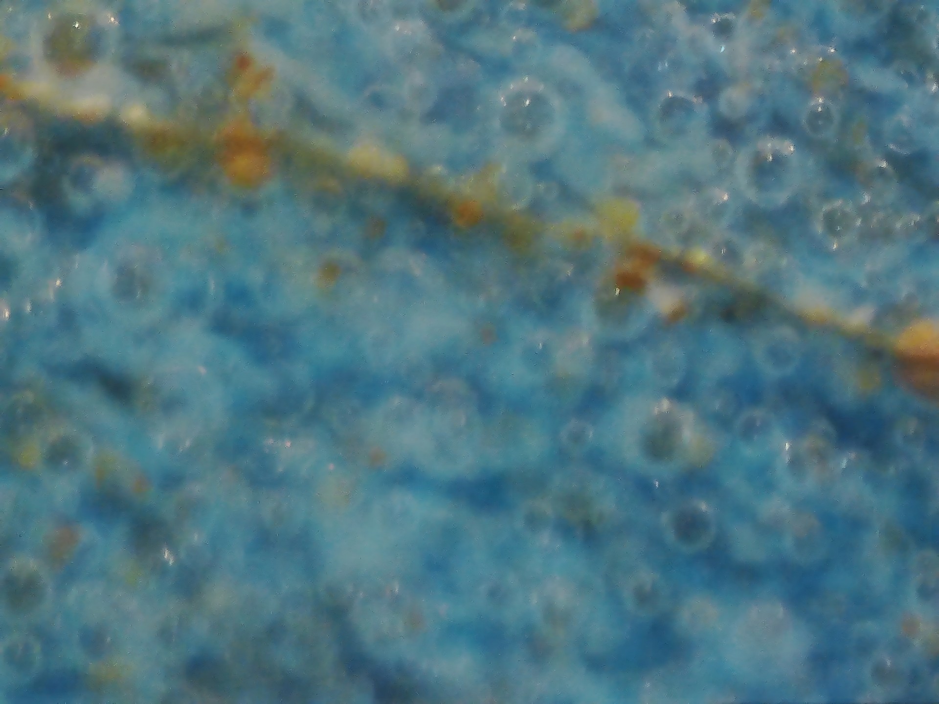 003_c00f292f4871.jpg