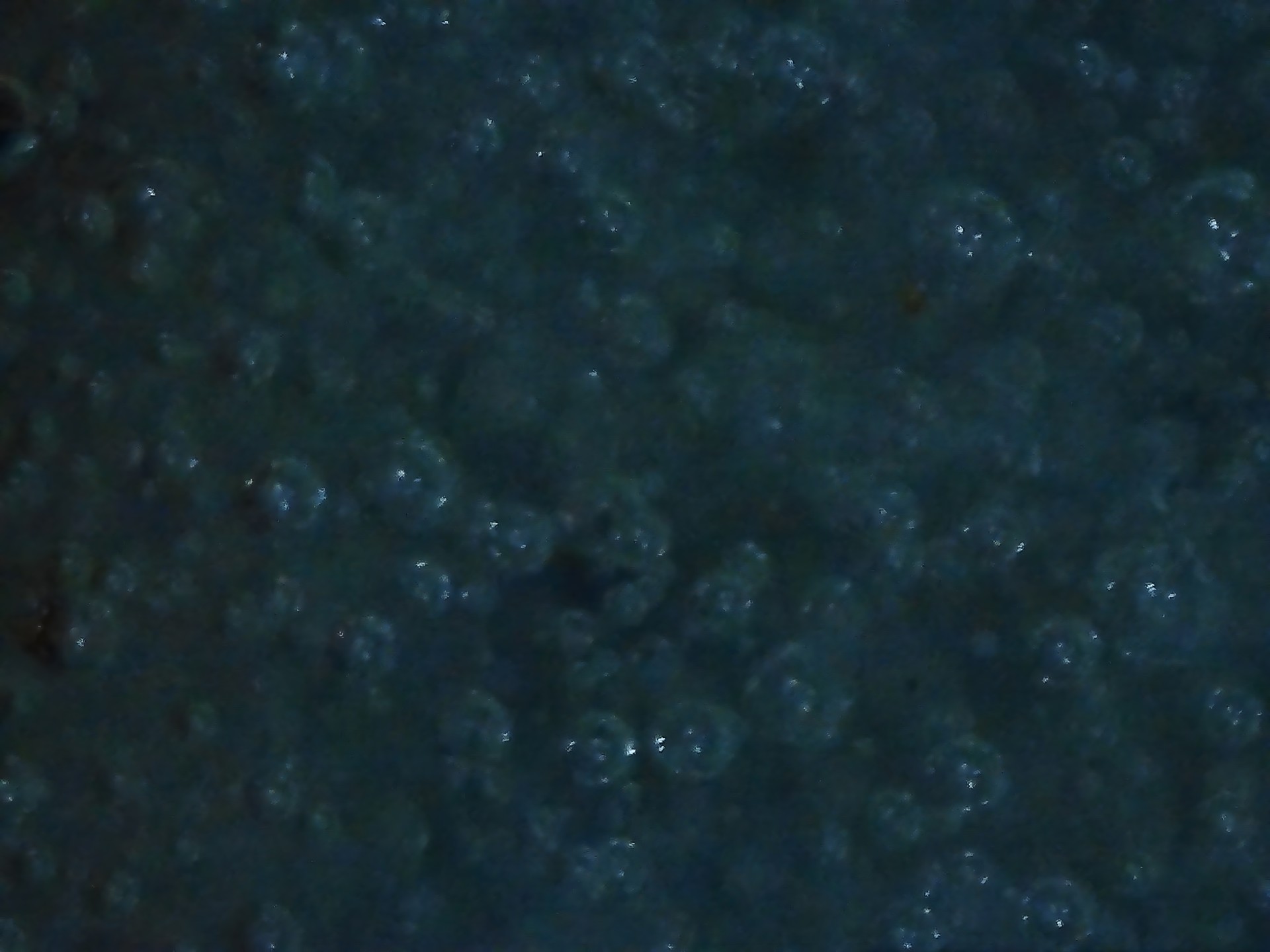 001_49ef5b42a343.jpg