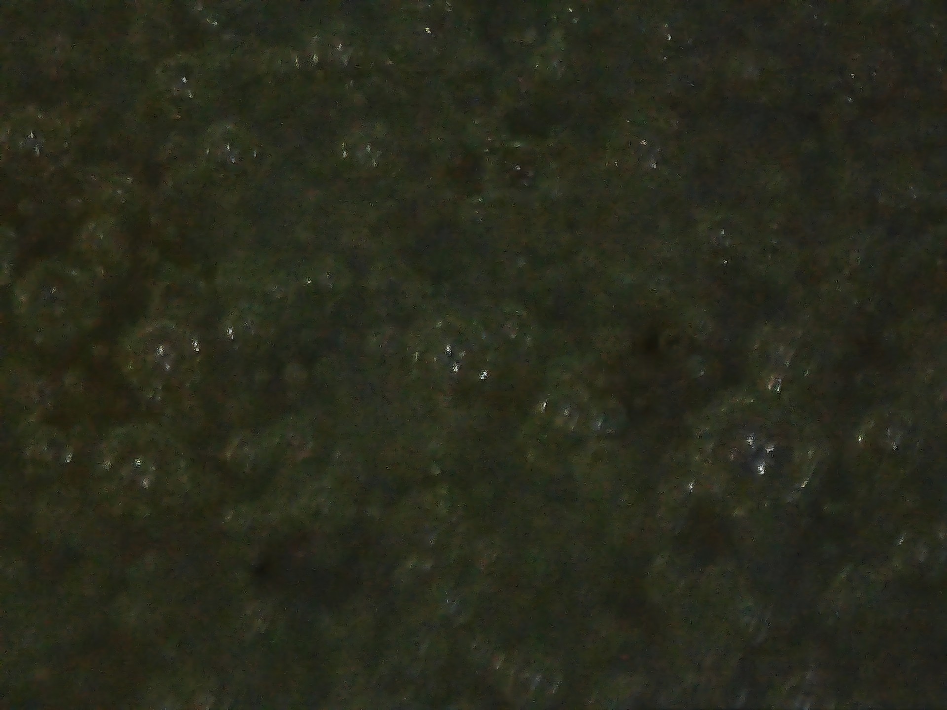 003_eafc89c11452.jpg