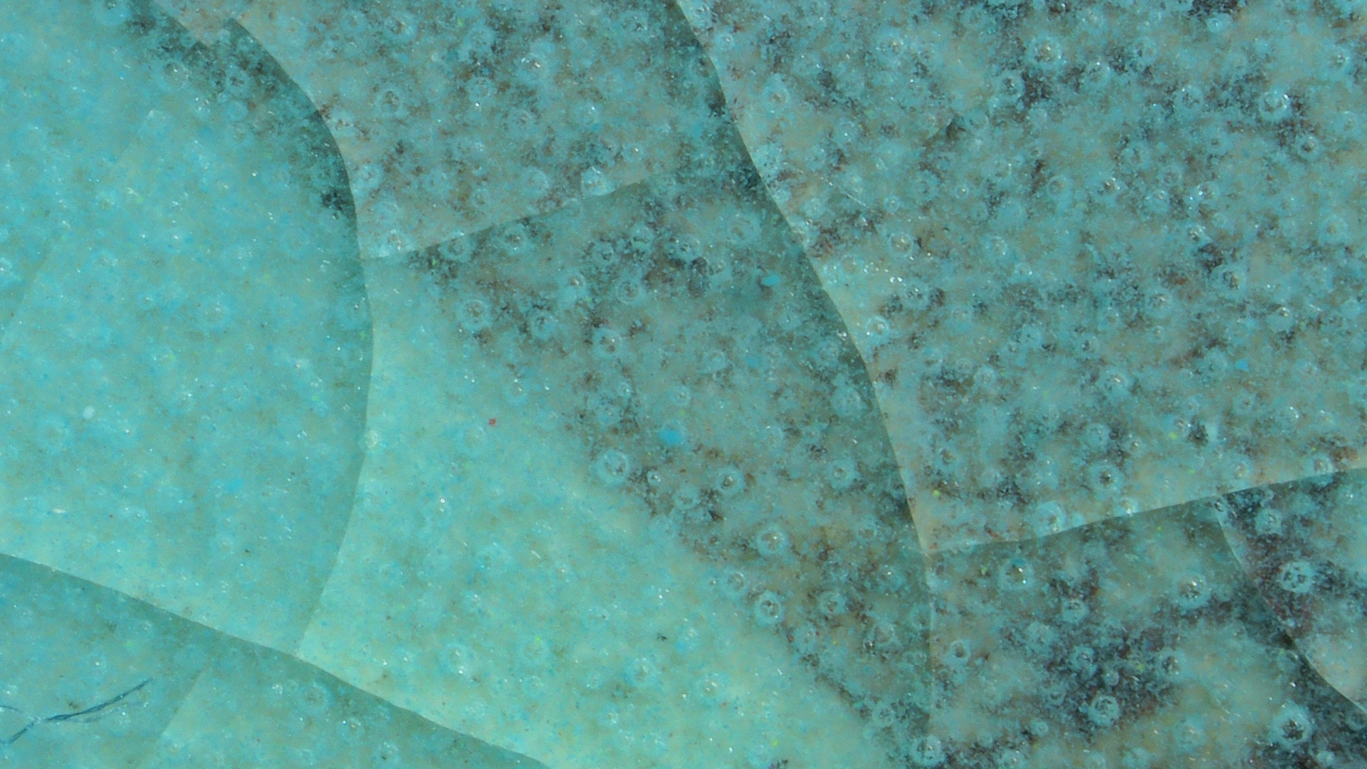 001_de905d534342.png