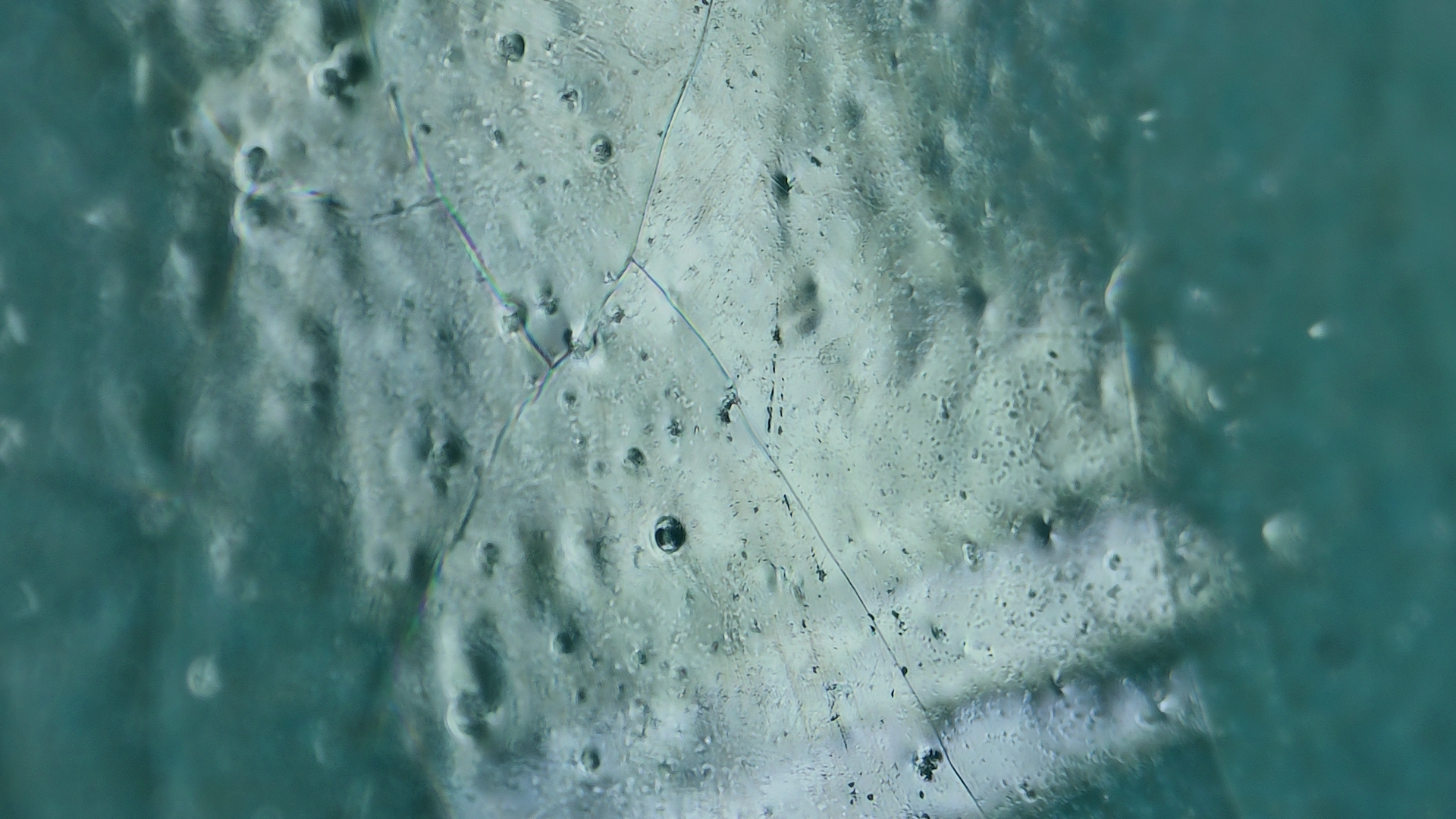 004_4010e54a3fd8.png