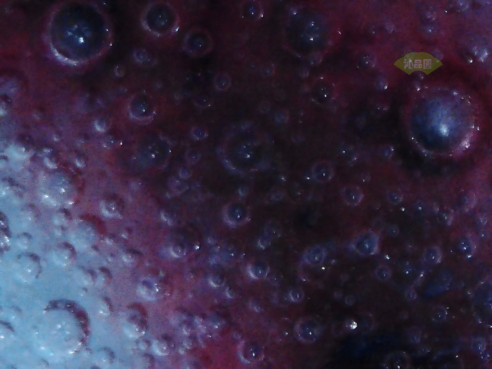 001_e9eb26a0fcda.jpg