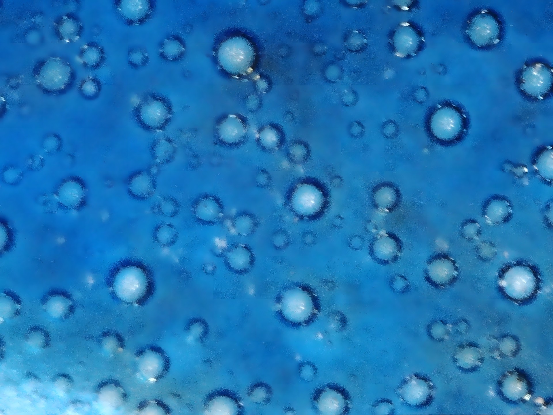 001_fd63c5e34986.jpg