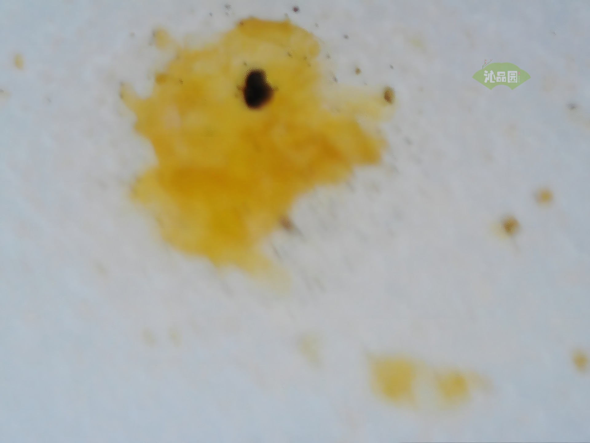 001_e2161ca2bc02.jpg