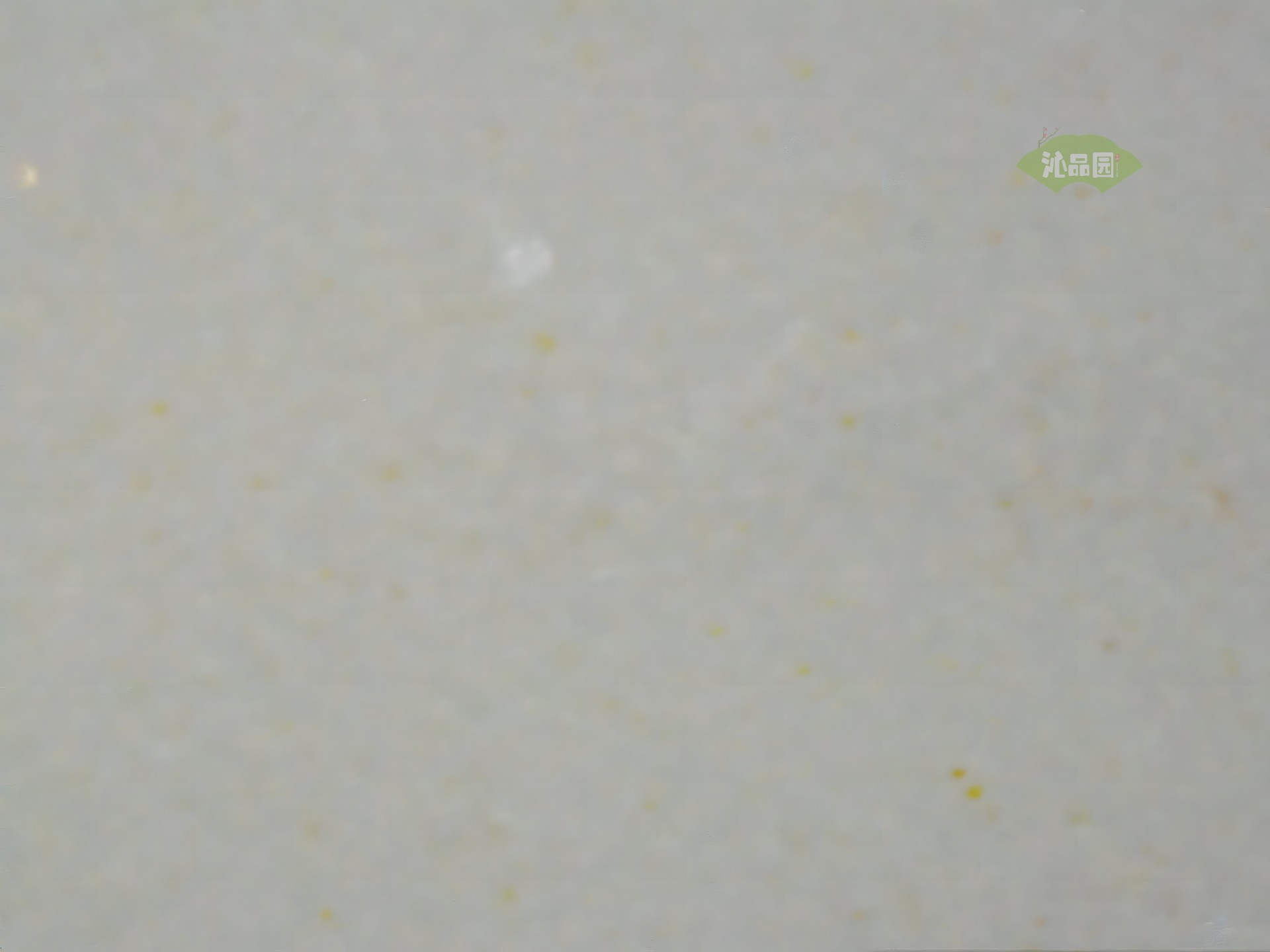 001_2f7e485c5579.jpg