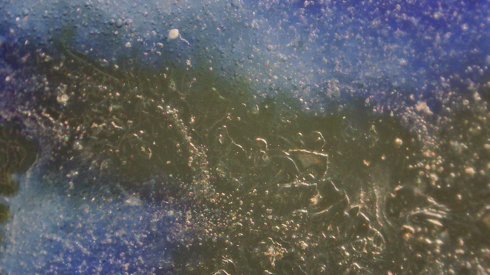 002_bf4cd8503c7d.png